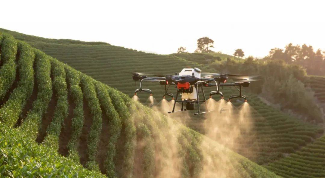 天夏智慧区块链食品(天夏智慧下面有哪些公司)